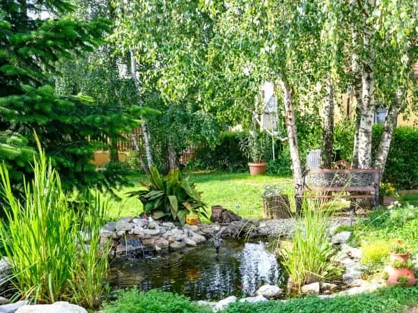 Co posadzić na podmokłym terenie, aby uniknąć problemów z roślinami?