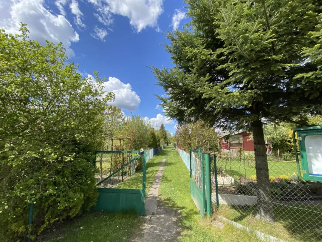 Czy sprzedaż działki ROD musi być zgłoszona do urzędu skarbowego?