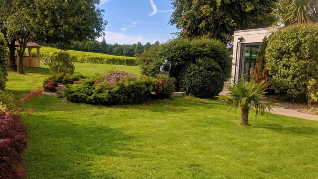 Jaka trawa na działkę rekreacyjną, aby uniknąć problemów z pielęgnacją?