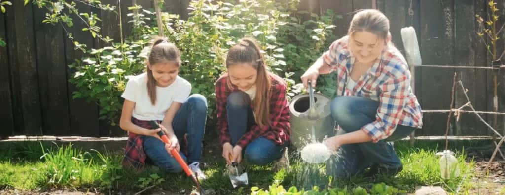Jakie drzewa na działkę rekreacyjną: wybierz łatwe w uprawie gatunki